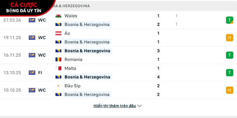 Phong độ của đội tuyển Bosnia